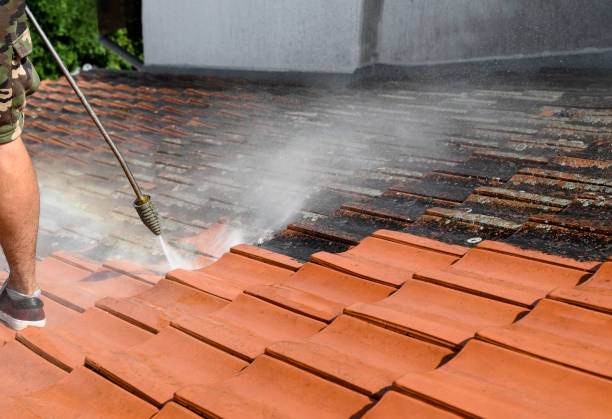 Best Local Pressure Washing Services  in Potomac Mills, VA
